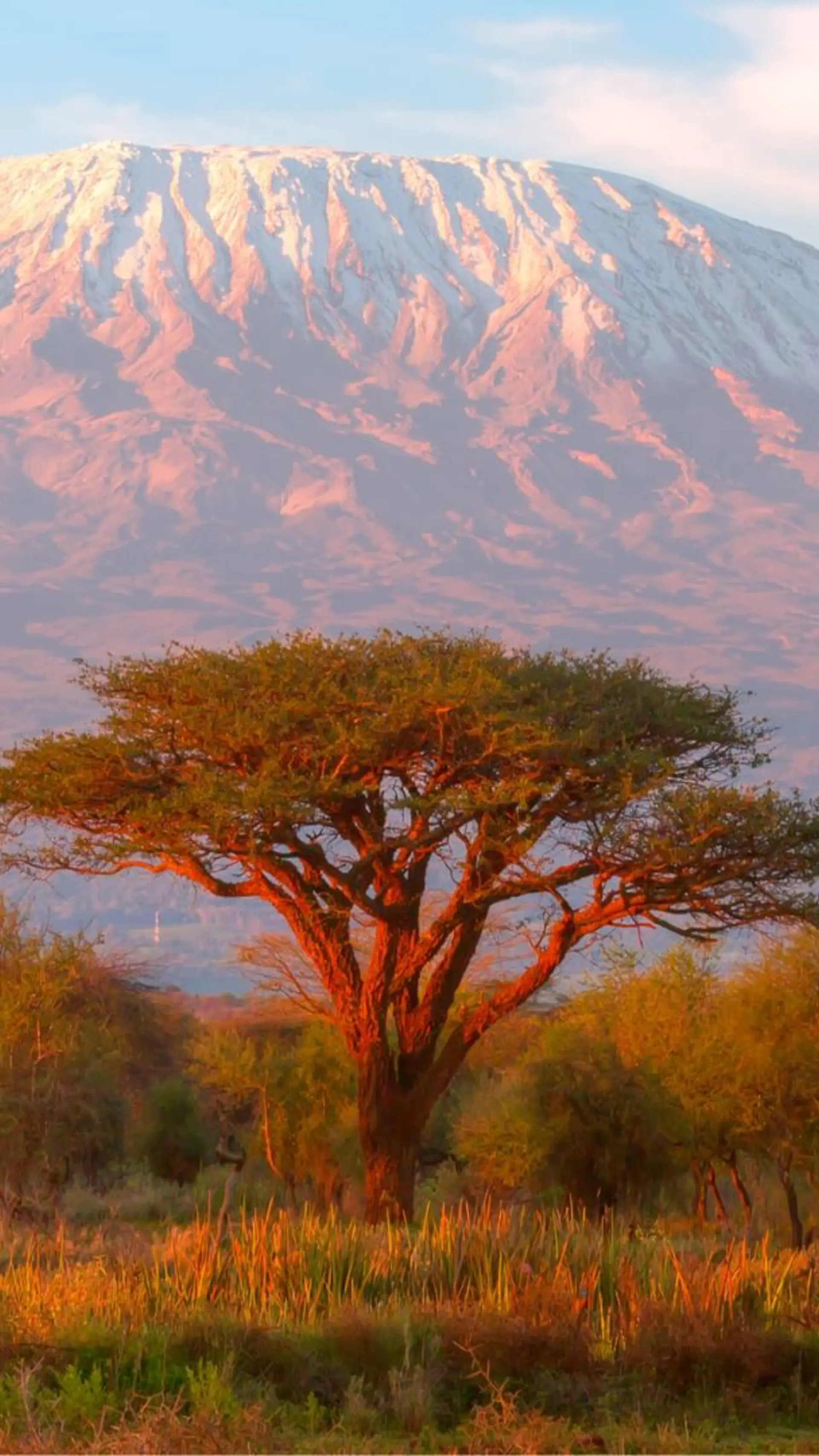 Kilimanjaro