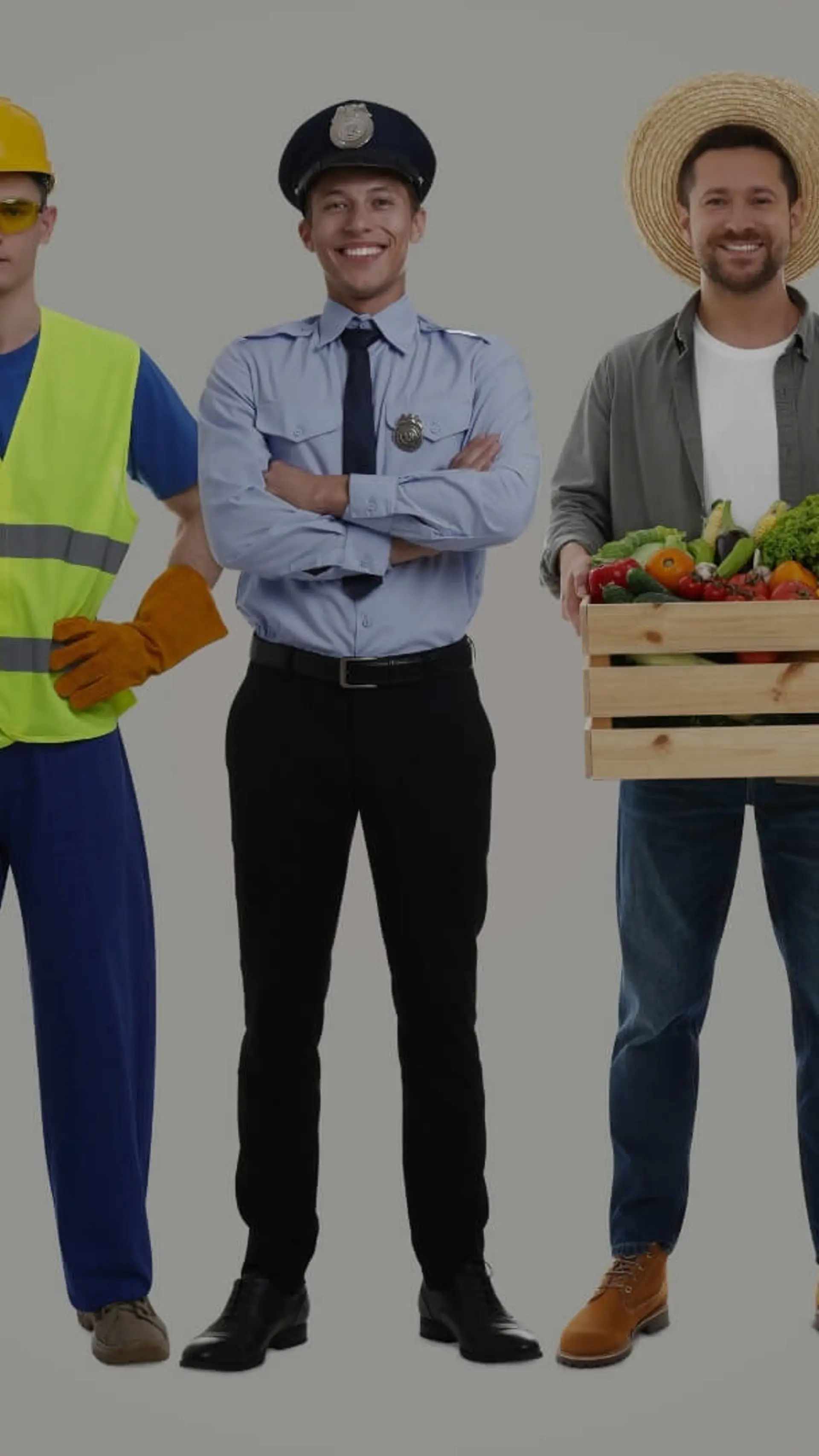 Occupation and Profession