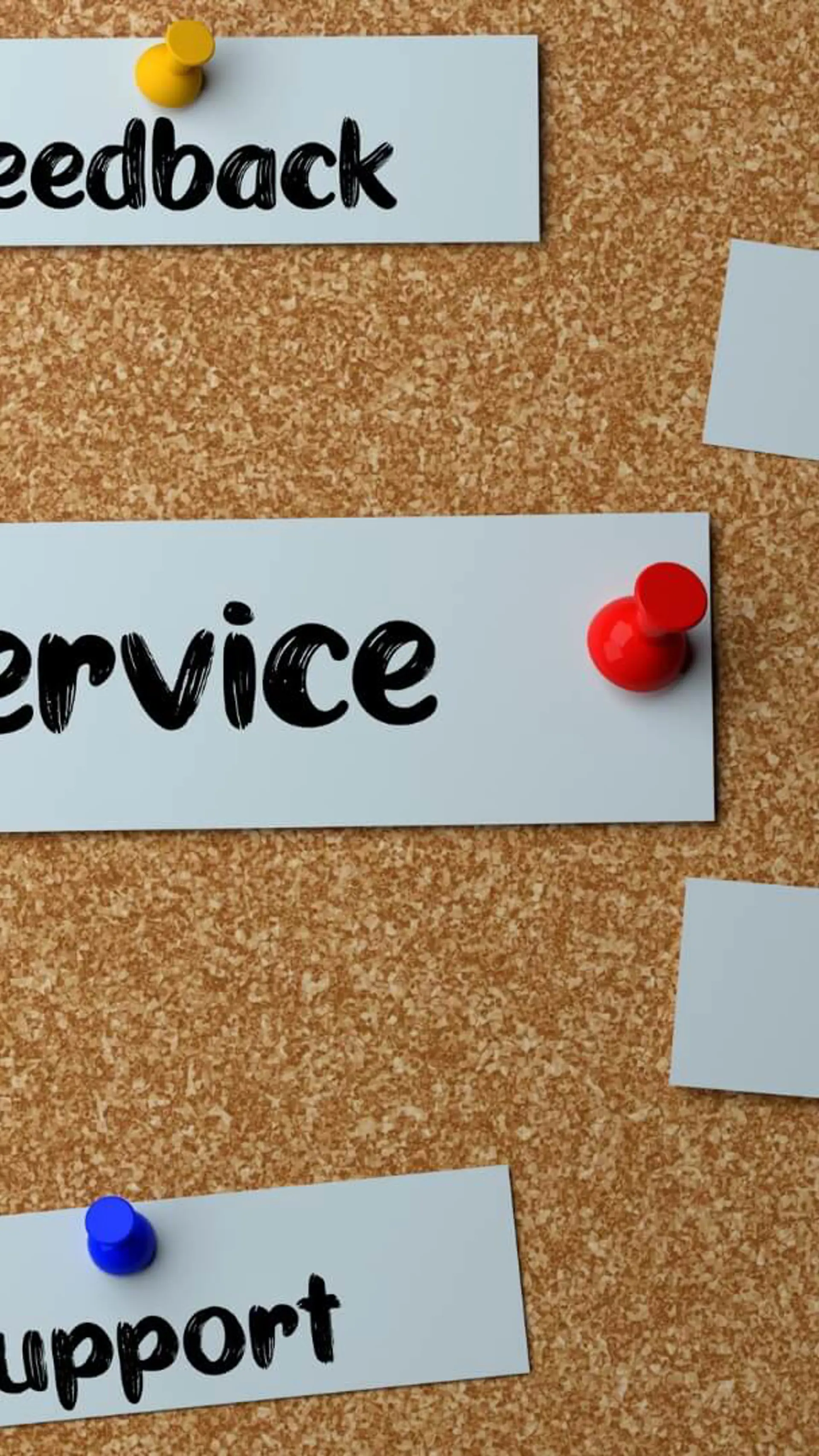 Human Services