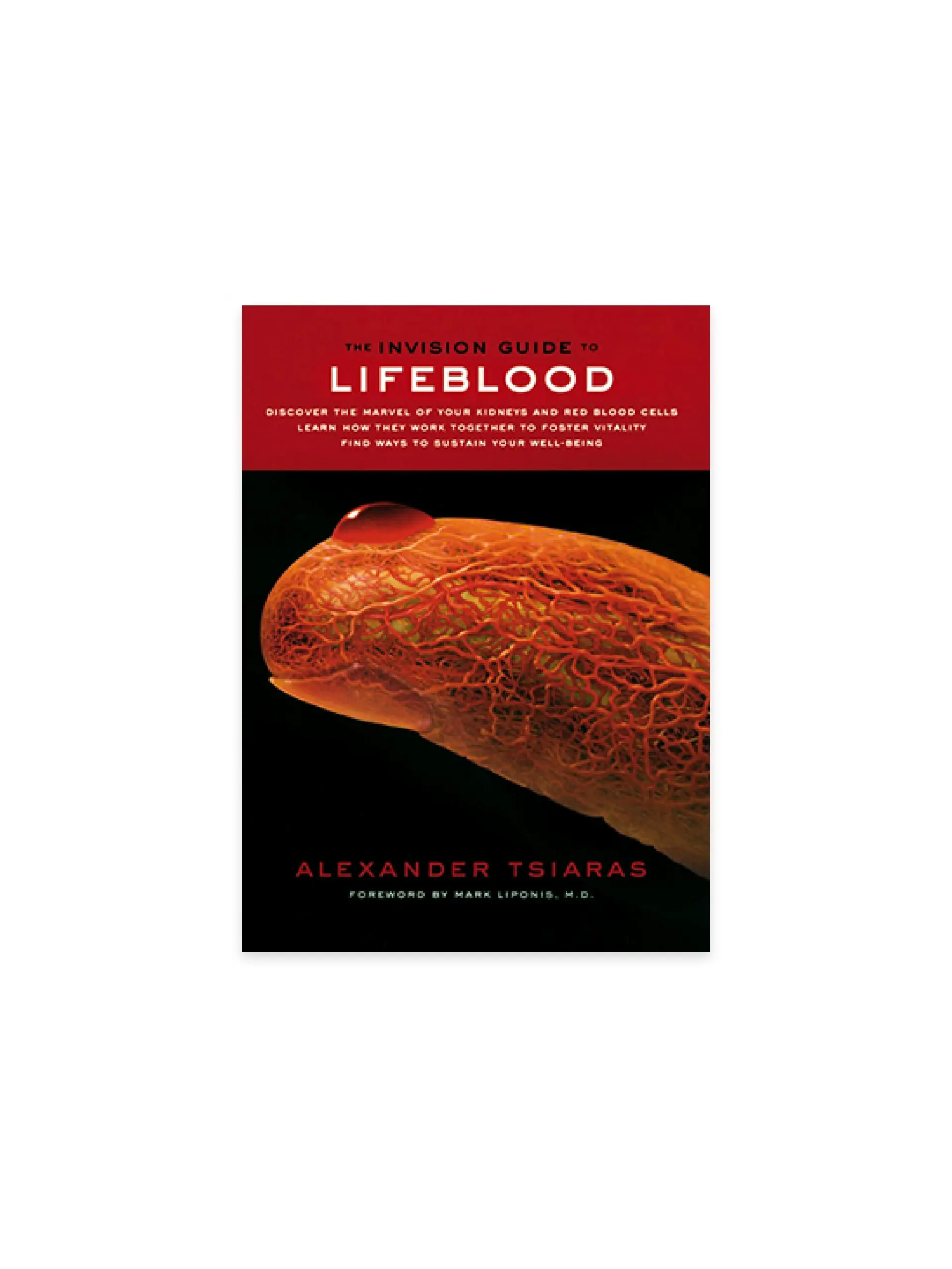 The Invision Guide to Lifeblood