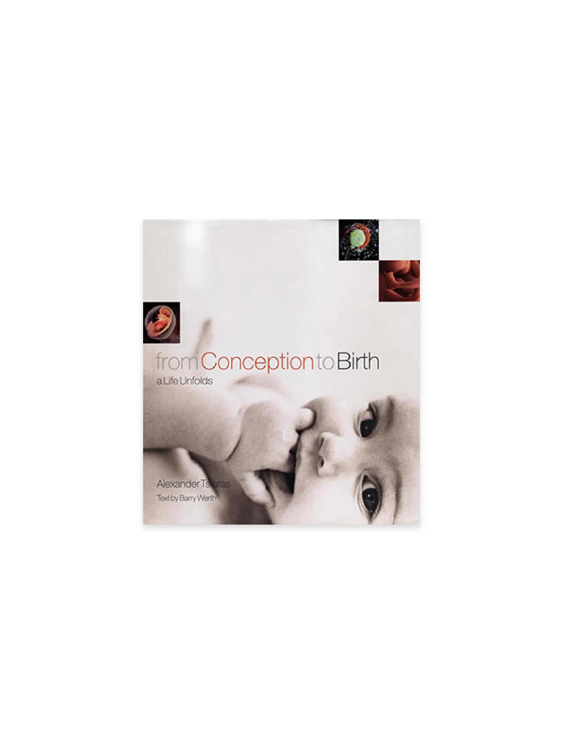 From Conception to Birth: a Life Unfolds
