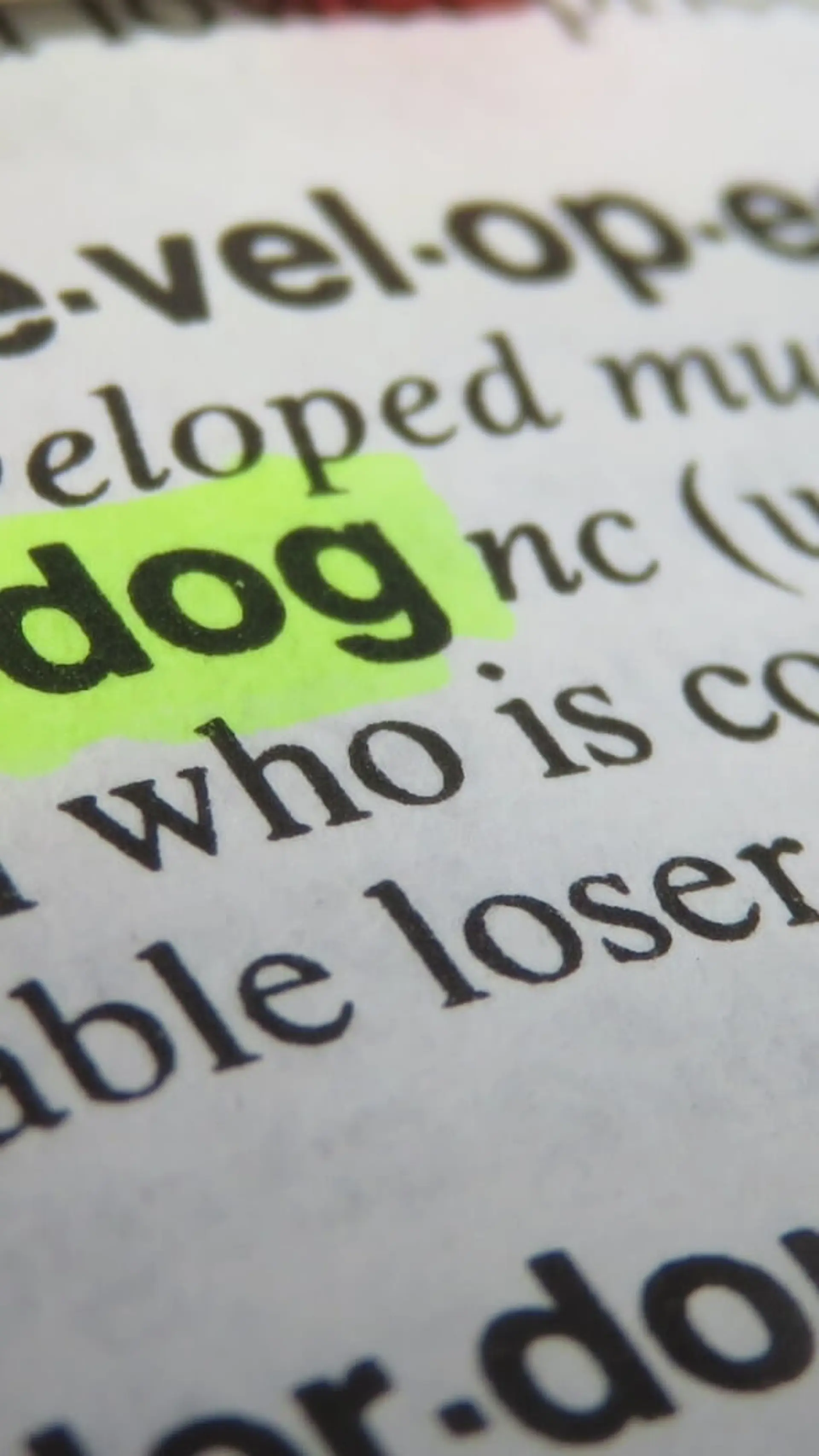 Underdog