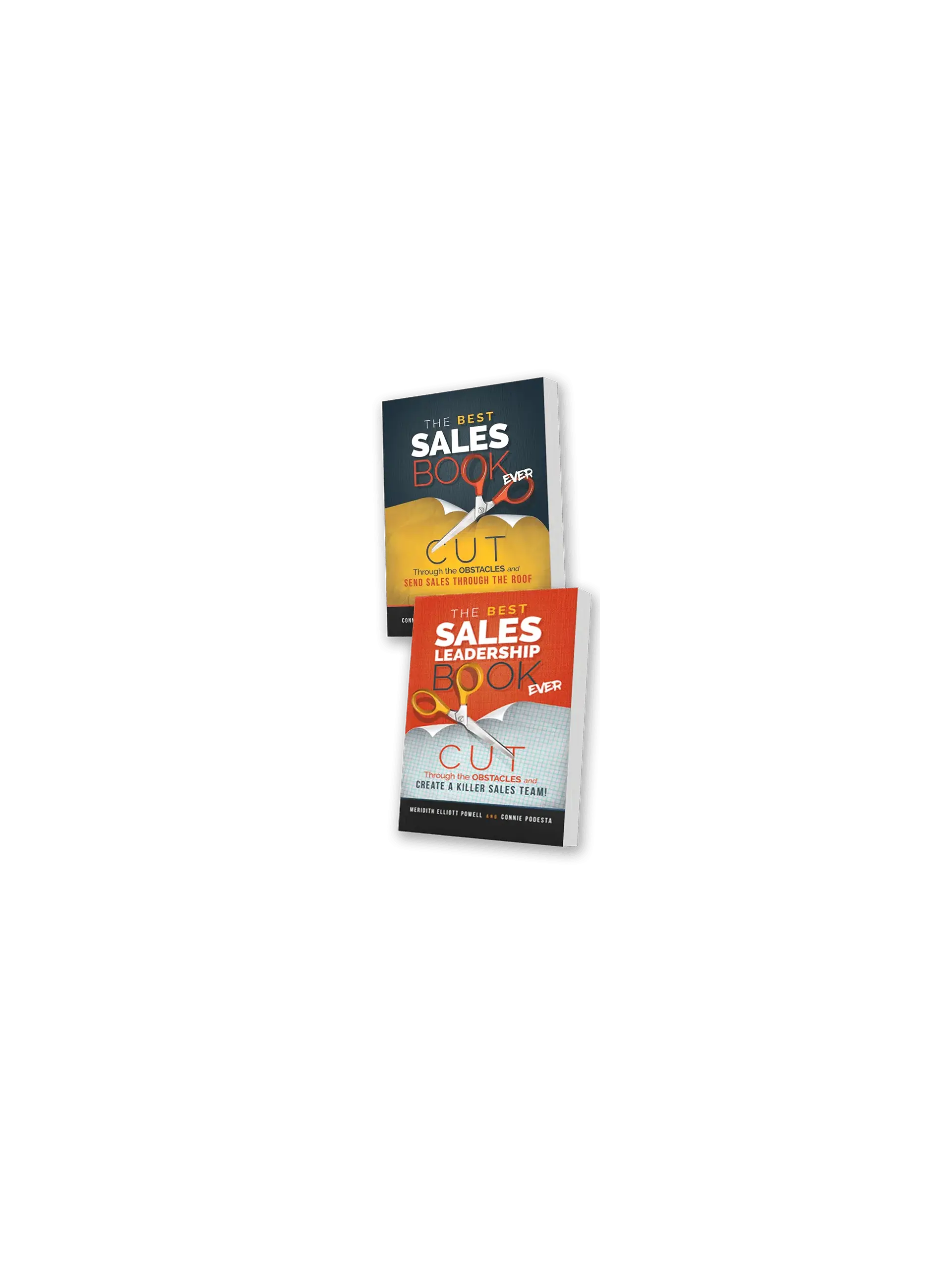 The Best Sales Book Ever/The Best Sales Leadership Ever