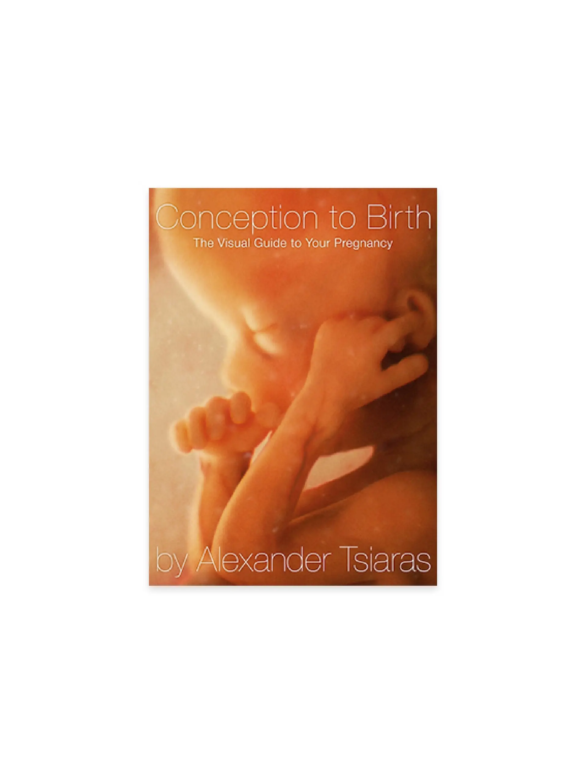 Conception to Birth: The Visual Guide to Your Pregnancy