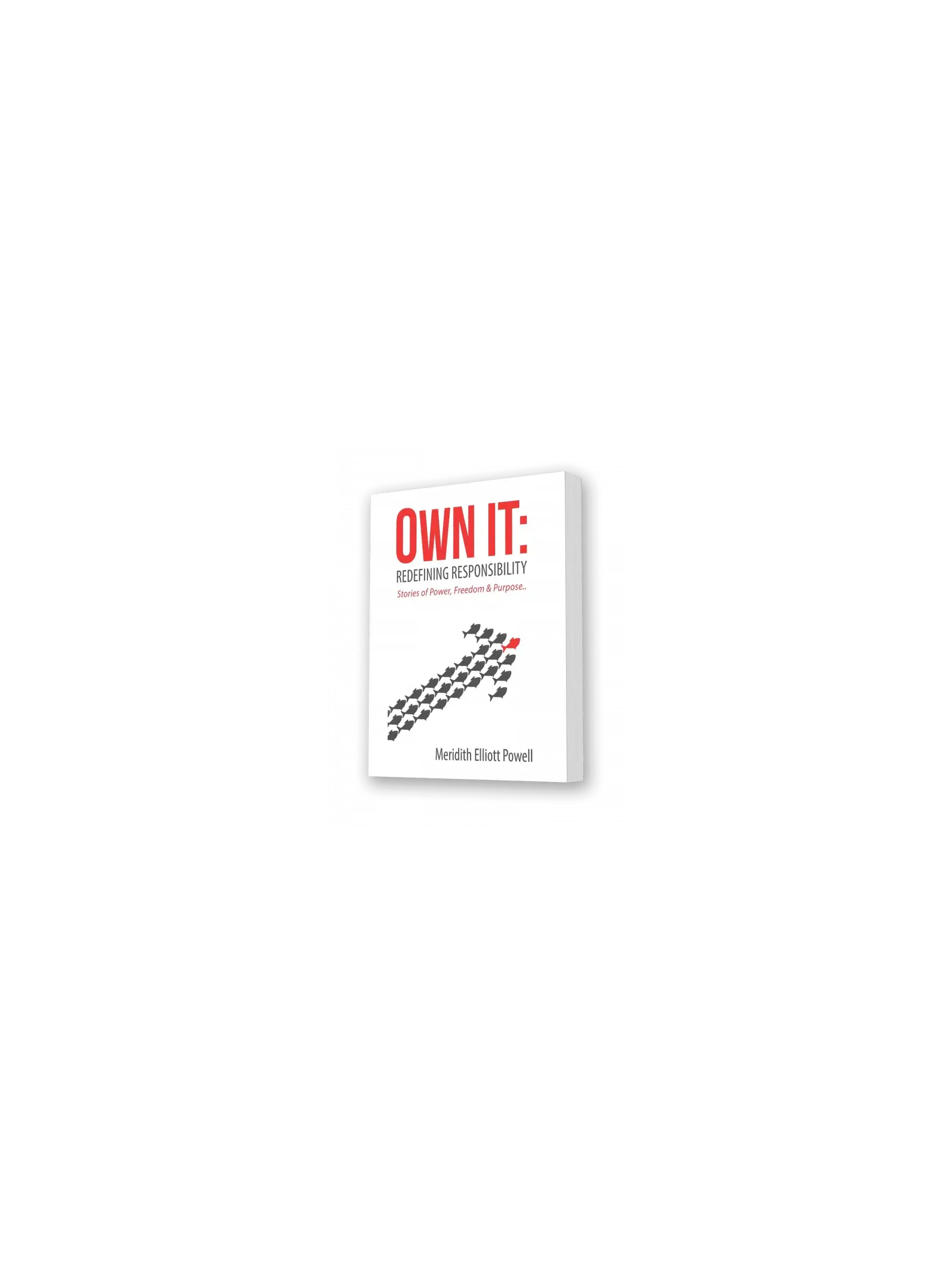 Own It: Redefining Responsibility