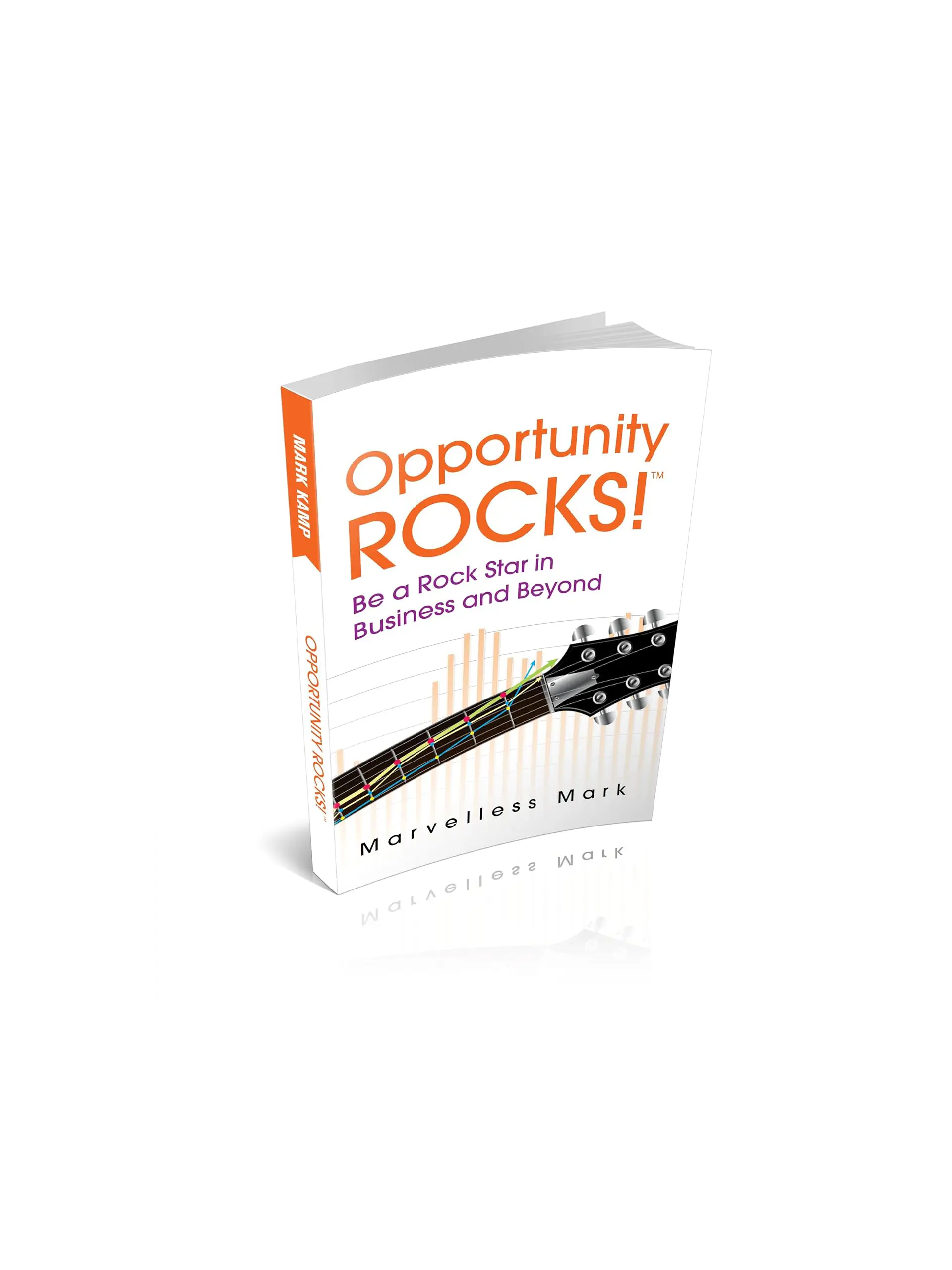 Opportunity Rocks! Be a Rock Star in Business and Beyond