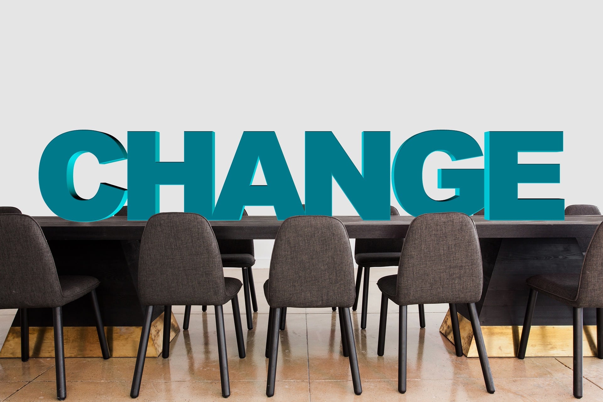 Strategies for Corporate Change: Insights from Gender Transition